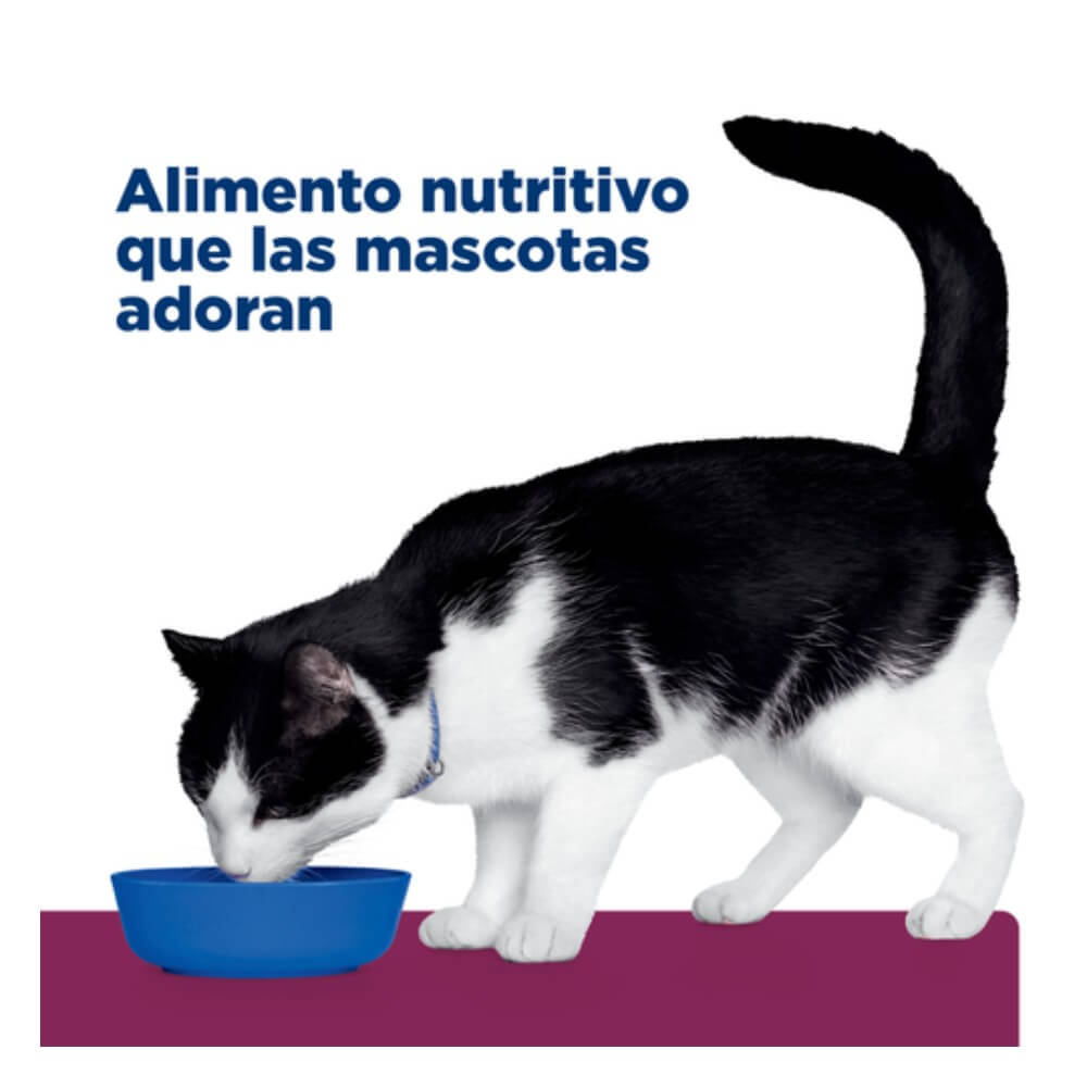 Imagen de un felino alimentándose con Hills Prescription Diet Feline id, una comida seca para gatos i/d nutritiva y muy deliciosa