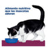 Imagen de un felino alimentándose con Hills Prescription Diet Feline id, una comida seca para gatos i/d nutritiva y muy deliciosa