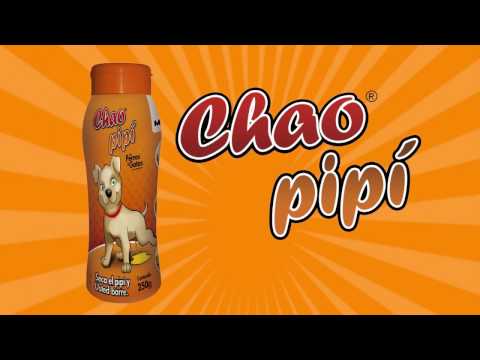 Video tutorial Chao Pipí: cómo secar orina de perros y gatos fácilmente