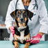 Perro pequeño negro sentado, con veterinaria de pie detrás sosteniendo un estetoscopio